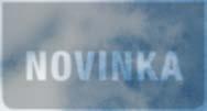 postranní větve) s patrným průtokem krve za stentem (1).