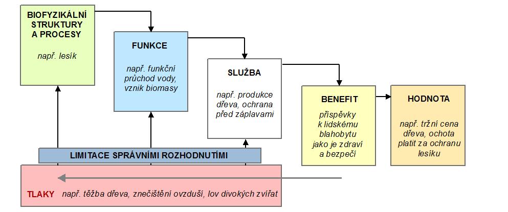 3.1 EKOSYSTÉMOVÉ SLUŽBY Ekosystémové služby jsou benefity, které lidé získávají z přírody (MA, 2005).