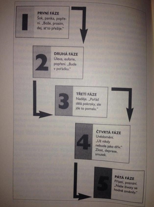 Obr. 3 Fáze emočních reakcí rodiny (Powell, 2010, s. 126) Psycholožka Palmer (2013) popisuje, že nejčastěji dochází ke změnám rodinného systému.