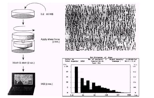 adhesion &