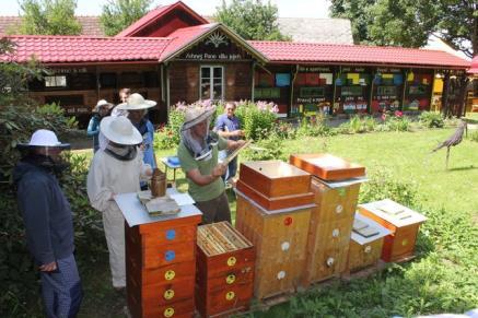 Pravděpodobně lze očekávat menší produkci medu a jeho zdražení. Alternativou mezi způsoby léčby varroázy je termosolární úl, neboli RTST (Rašovská termosolární technologie), jehož autorem je RNDr.