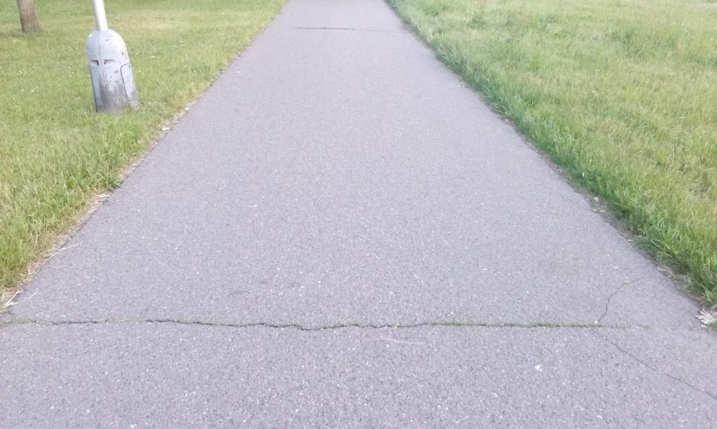 Obrázek 3. Opakující se nízkoteplotní trhliny na cyklostezce v Pardubicích (foto autor).