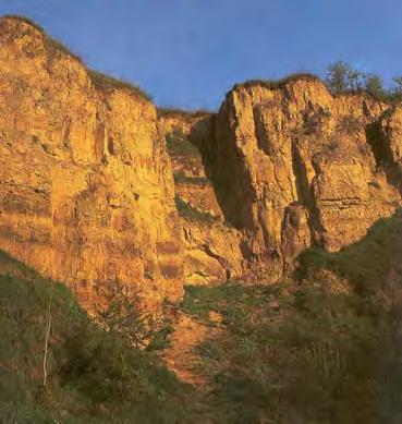 letech 20. století, a proto mohlo dojít k vývoji unikátních skalních a stepních ekosystémů. Obr. 3 Lom na Turoldu Naproti tomu těžba vápence na Svatém kopečku pokračovala i nadále a teprve až v 70.