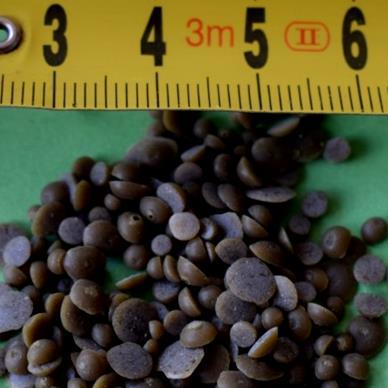 Vliv nových typů vosků z hlediska potenciálu snížení pracovní teploty u asfaltové směsi s R-materiálem experimentální studie zaměřená na účinnou
