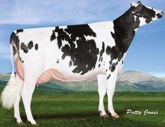 %P A: GLOCKY BALISTO-YRS A: RELOUGH MVP DANNA 3-YRS, VG-85 HODNOCENÍ TYPU ZIMA 8 HA /7 6 Dcer Stád % Spol. - + +.6..66.