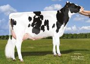 EX-9 Marbri Oman Oman Bea-ET 84738 EX-9 +5.7 7. 5. 7.5 4. +.4 3.7 +. 4 4 95 8 89 8 85 9 65 7 - Není zlepšovatel - + + +4 +69 9HO7 NXB 5 Č. PLEM.
