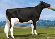 %P WINNING-WAY MADEA-ET O-STYLE x PLANET x MAC x O MAN Co-Op O-Style Oman Just-ET 37644 Winning-Way Matty 4664 VG-88 DOM +45 +695 9HO6845 NEO 666 Č. PLEM.