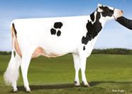 - +6.9 88 6.9 5.8 87 7.7 6.3 +..84 +3. 96 9 88 95 69 68 73 - - + + UECKER SUPERSIRE JOSUPER-ET 9HO53 NXB 83 Č. PLEM.
