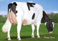 %P DE-SU 8 TOPSY-ET BOOKEM x WATSON x O MAN x RUDOLPH De-Su 5 Bookem-ET 66636657 VG-86 De-Su -ET 6949353 VG-85 GMD +586 +76 /7 9HO66 NXB 53 Č. PLEM.