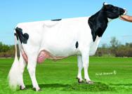 6 Beta Kasein A/A LARCREST COLLUDE-ET : LARCREST ROBUST CABOODLE VG-86 GMD DOM BALISTO x ROBUST x MAC x OUTSIDE De-Su 36 Balisto-ET 7658 Larcrest Caboodle 5787 VG-86 GMD DOM +639 +84 9HO84 NXB 343 Č.
