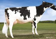 HOLŠTÝN GENOMIČTÍ DG CHARLEY-ET MM: LARCREST OBSERVER CALE VG-89 DOM SUPERSHOT x MOGUL x OBSERVER x RAMOS Cogent Supershot 5893 DG Candide 54879 +8 +86 9HO NXB 369 Č. PLEM.