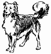 Figure 1: Arbitrary relationship between signifier and signified in Saussure s linguistics RELATIONSHIP (SIGNIFICATION) (SIGNIFIED) (SIGNIFIER) DOG CONCEPT OF A REAL DOG x REAL DOG (my actual