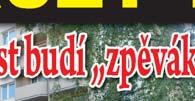 Ve dvou případech to bylo vyřešeno, u jedné paní mi bylo řečeno, že by bez psa umřela.