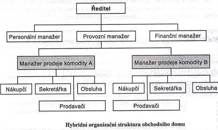 ORGANIZOVÁNÍ