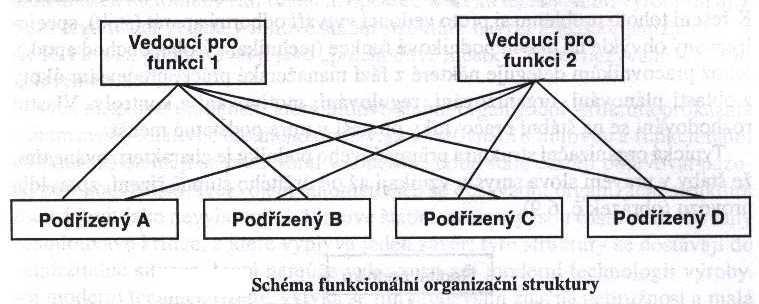 ORGANIZOVÁNÍ