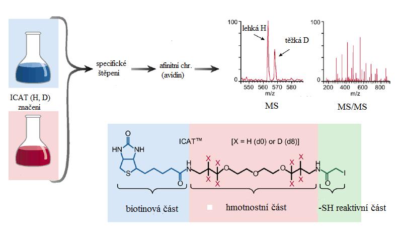 ICAT (Isotope