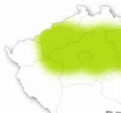 DKC5542 NEjVyšší VýNOS SILÁŽNí hmoty V čr* FAO Siláž 350 ChArAKTErISTIKA Ranost typ zrna typ Rostliny z pohledu dozrávání výška Rostliny pozdní koňský zub RovnoměRně dozrávající velmi