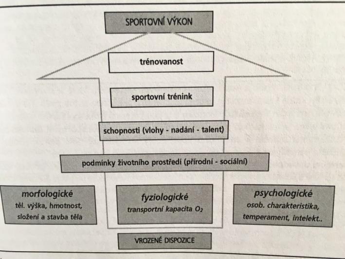 dlouhodobě a její úroveň je podmiňována individuálními zvláštnostmi sportovce, vlivy prostředí nebo tréninkovou činností (Podešva, 2010).