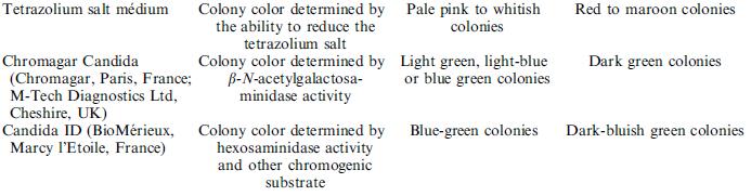 dubliniensis není schopna utilizovat D-xylózu, D-trehalózu, methyl-α-d-glukosid chybí
