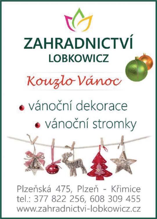 Zákazníci jsou pak vždy mile překvapeni, když peníze za zubní zlato drží v rukou, potvrzuje vedoucí kolínské pobočky Zlaté Investiční Banky.