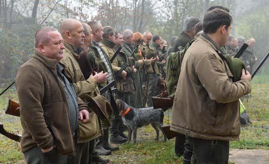 Celkem 2,9 milionu korun je určeno na vybudování asfalto vých cest v okolí tropického pa vilonu v oblasti mezi lvím výbě hem, šimpanzi a tučňáky stá vající asfaltové a štěrkové komu nikace jsou