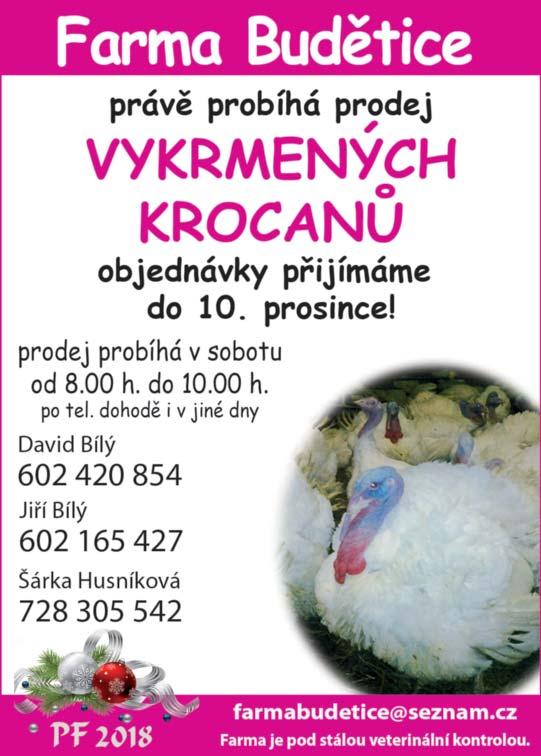 Zbývajících 10 pro cent jsme poskytli z rozpočtu města.