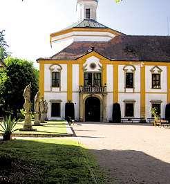 Choltice 9.