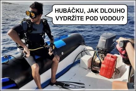 Přijde pán do zverimexu, kde ho zaujme papoušek se dvěma provázky kolem nohou. Zavolá si proto prodavače a ptá se, proč tam ty provázky papoušek má.