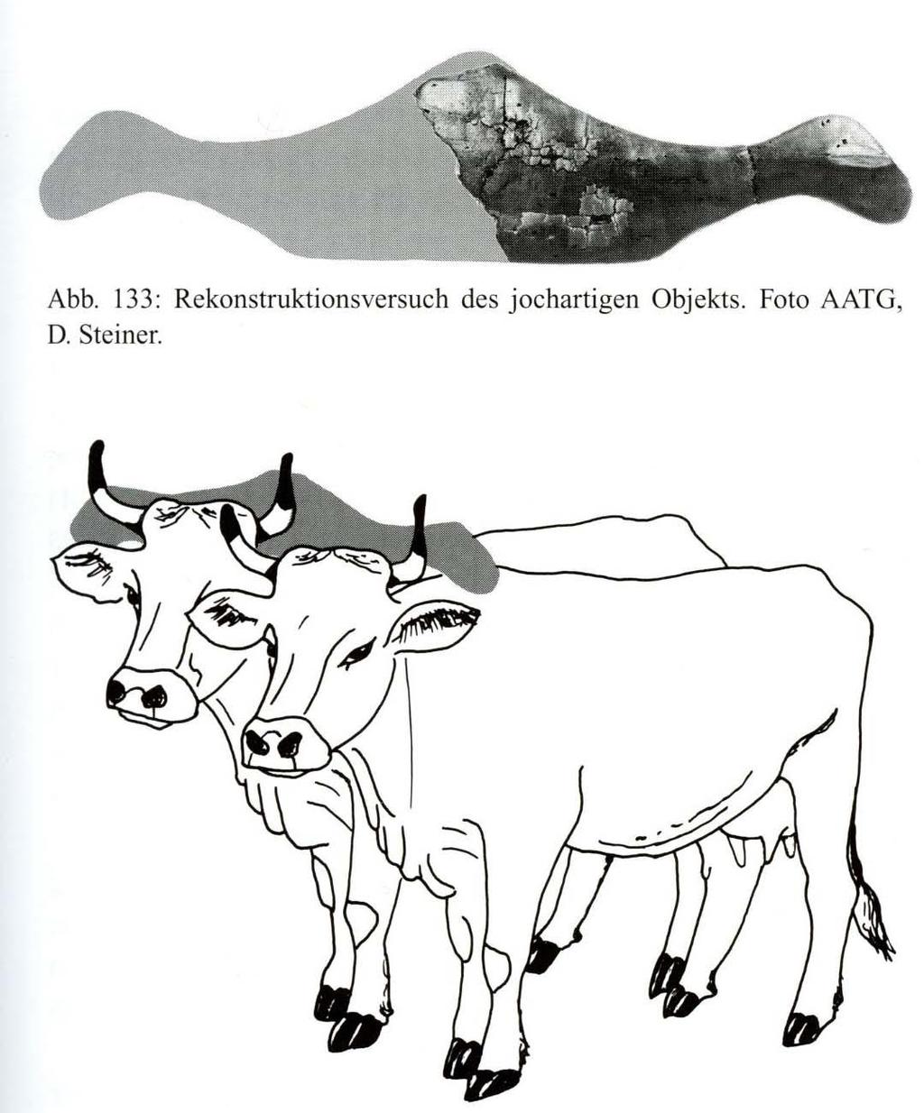 Eneolit, Arbon-Bleiche, CH,