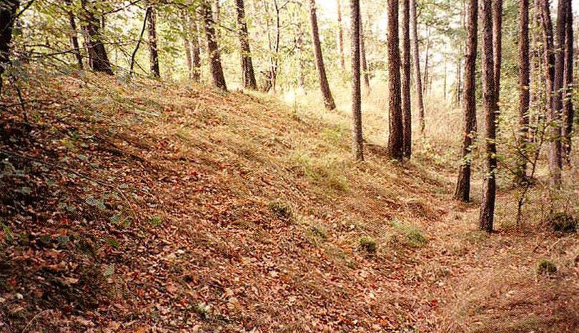 Rmíz, KNP,