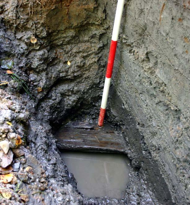 Archeobotanická data naznačují osídlení a rýžovnictví zlata snad