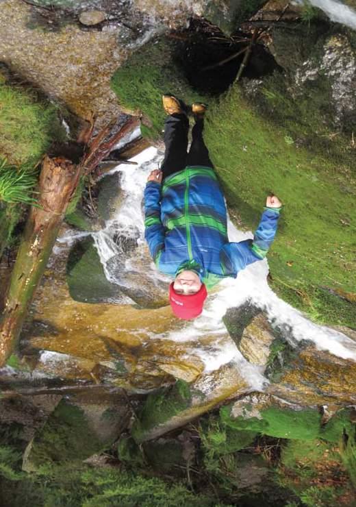 SEV STOŽEC SEV NP Šumava Environmentální výchova v Národním parku a chráněné krajinné oblasti Šumava LIŠEJNÍKY