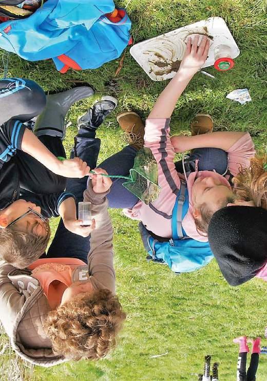Národní park Šumava je tou nejlepší učebnou pod širým nebem www.npsumava.cz VÝUKOVÉ PROGRAMY URČENÉ PRO SŠ Programy určené pro SŠ vychází z našich osvědčených programů.