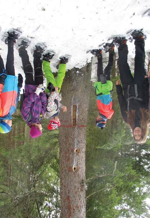 SEV NP Šumava Environmentální výchova v Národním parku a chráněné krajinné oblasti Šumava UČÍME SE O LOUCE Venkovní i vnitřní program Kdy: venkovní: květen září, vnitřní: říjen duben Délka programu: