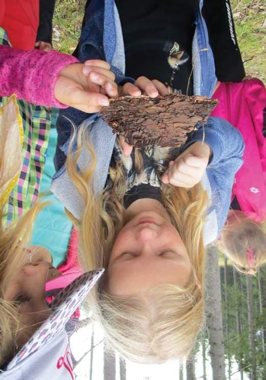 Národní park Šumava je tou nejlepší učebnou pod širým nebem www.npsumava.