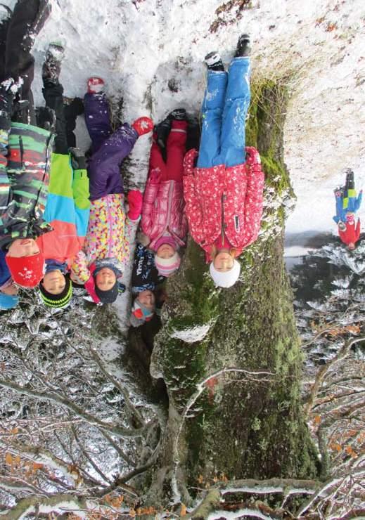 Národní park Šumava je tou nejlepší učebnou pod širým nebem www.npsumava.