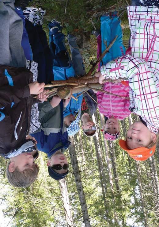 SEV NP Šumava Environmentální výchova v Národním parku a chráněné krajinné oblasti Šumava LUČNÍ VÍLA Venkovní i vnitřní program Kdy: květen červen Délka programu: 1,5 2 hodiny S luční vílou