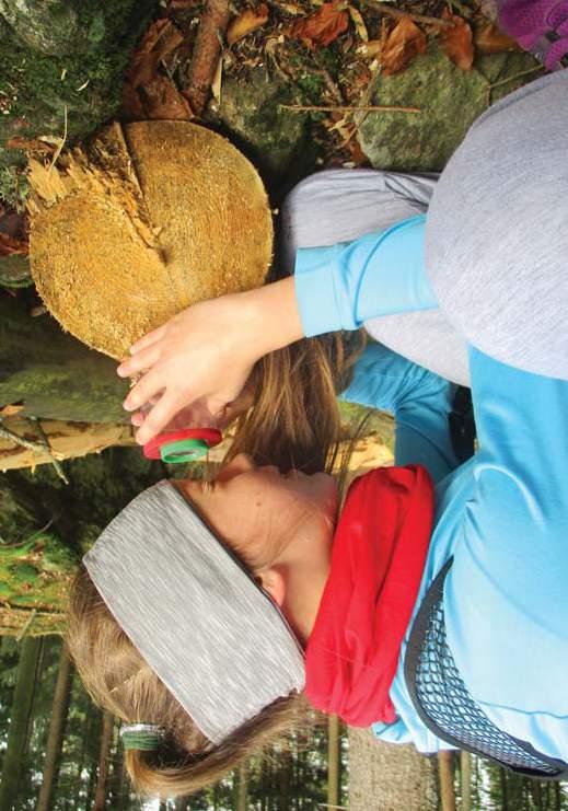 Národní park Šumava je tou nejlepší učebnou pod širým nebem www.npsumava.cz BIONIKA Délka programu: 1,5 2 hodiny V přírodě může nacházet člověk inspiraci a vzory i pro svou tvořivost.