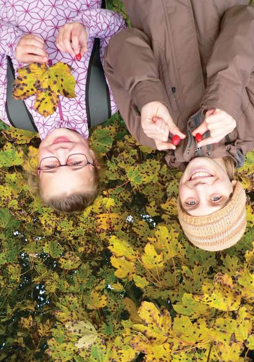 SEV NP Šumava Environmentální výchova v Národním parku a chráněné krajinné oblasti Šumava VÝUKOVÉ PROGRAMY PRO 6. 9.