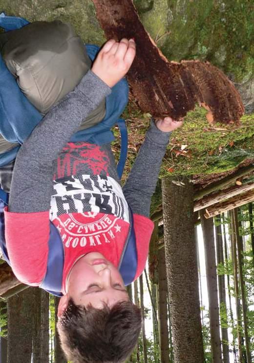 Národní park Šumava je tou nejlepší učebnou pod širým nebem www.npsumava.