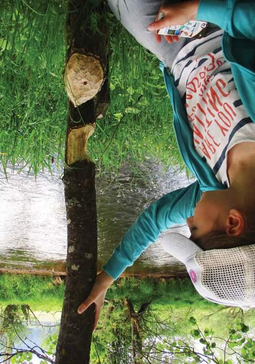 SEV NP Šumava Environmentální výchova v Národním parku a chráněné krajinné oblasti Šumava JELEN A JEHO BRATRANCI Kdy: únor červen Délka programu: 1,5 2 hodiny Znáte krále lesů jelena a jeho širokou