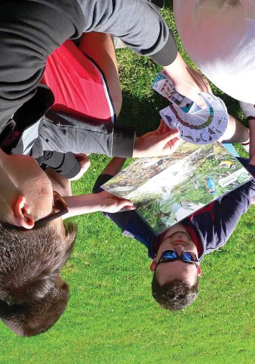 Národní park Šumava je tou nejlepší učebnou pod širým nebem www.npsumava.cz DIVOČINA Kdy: květen červen Délka programu: 3 4 hodiny Co si představíme pod pojmem divočina?