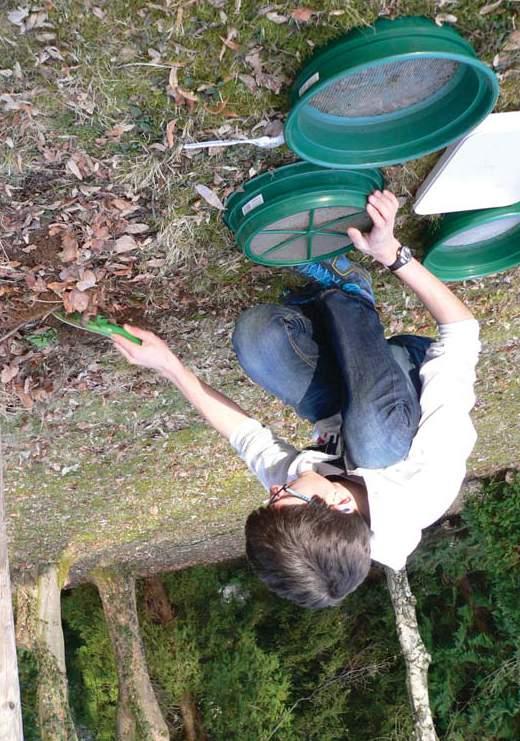SEV NP Šumava Environmentální výchova v Národním parku a chráněné krajinné oblasti Šumava Z DÁVNÝCH ČASŮ ŠUMAVSKÝCH Vnitřní i venkovní program Kdy: únor červen Délka programu: 1,5 2 hodiny Jak se