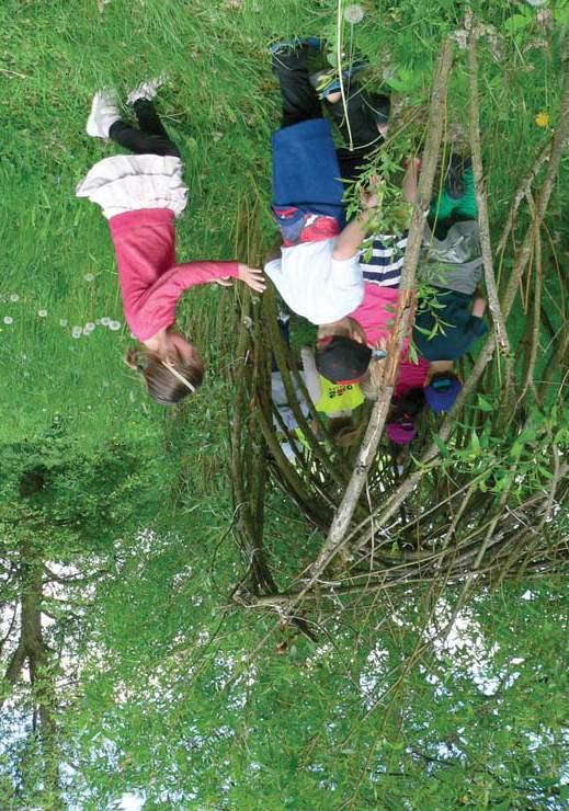 SEV NP Šumava Environmentální výchova v Národním parku a chráněné krajinné oblasti Šumava KRÁLOVSTVÍ ŠUMAVSKÝCH SKŘÍTKŮ Vnitřní i venkovní program, dle počasí Délka programu: 1,5 2 hodiny Každý