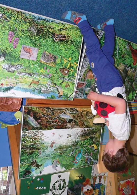 SEV NP Šumava Environmentální výchova v Národním parku a chráněné krajinné oblasti Šumava VÝUKOVÉ PROGRAMY URČENÉ PRO 2. 5.