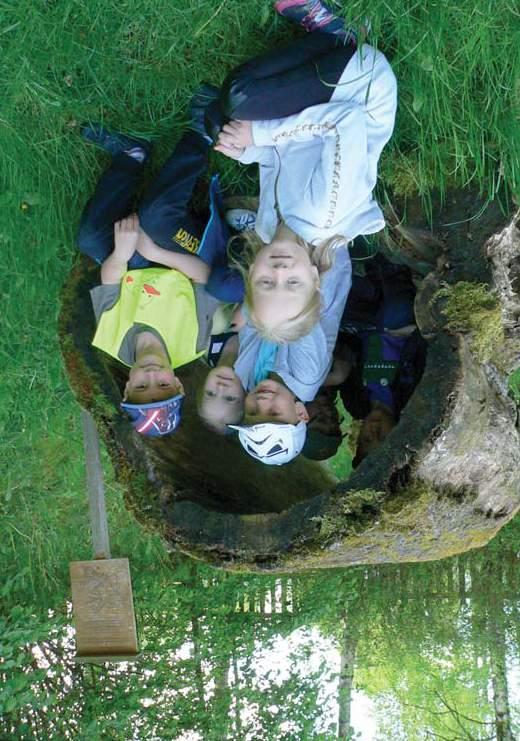 Národní park Šumava je tou nejlepší učebnou pod širým nebem www.npsumava.