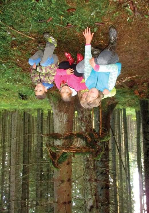 SEV STOŽEC SEV NP Šumava Environmentální výchova v Národním parku a chráněné krajinné oblasti Šumava ŽIVOT NA STARÉ ŠUMAVĚ Vnitřní i venkovní program Program: