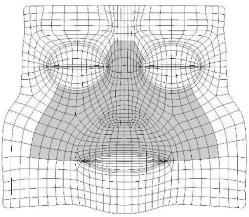 druhou stranu zrcadlit. Všechny plochy jsem získal extrudováním hran, spojováním vrcholů, či pomocí Bridge tool.