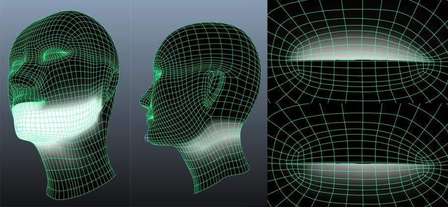 Obrázek 30: Jednotlivé klouby a jejich přiřazené vlivy vůči síti (Zdroj: Vlastní) 7.4. CORRECTIVE BLENDSHAPES Jedná se o speciální typ blendshape, který slouží k opravování již hotových deformací.