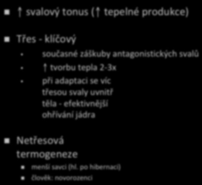 po hiberaci) člověk: ovorozeci Periaortálí BAT i u lidí umí výzamě ohřívat protékající krev (při SNS